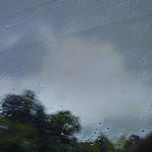 国产女人bt视频
