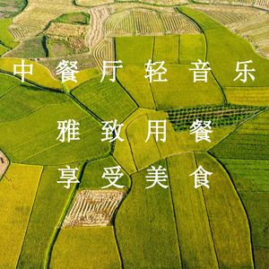 国产女人bt视频
